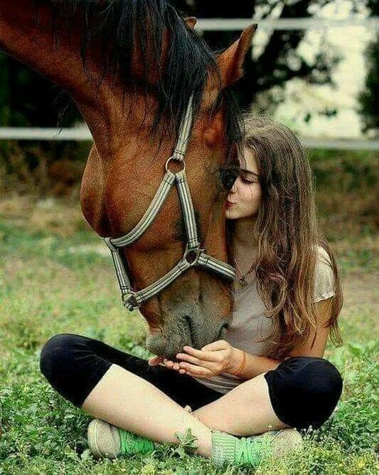 Pin on A Girl + A Horse = Love