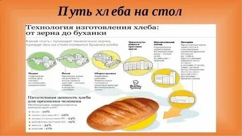 Рабочие листы путь зерна 4 класс