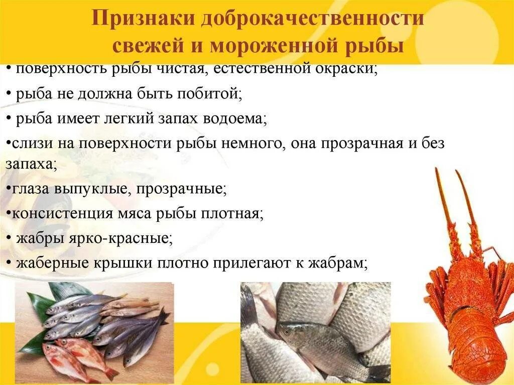 Признаки доброкачественности рыбы. Обработка рыбы и морепродуктов. Способы обработки рыбы. Технология рыбных продуктов.