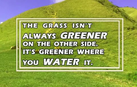 Grass greener on the other side