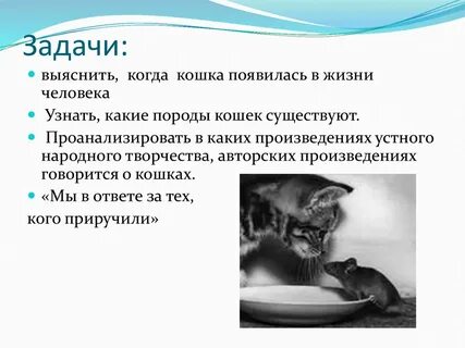 Кошки в жизни человека проект