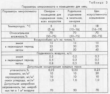 Температура овец