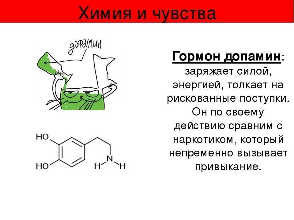 Какое чувство в человеке вызывает гормон эндорфин. Дофамин функции гормона. Дофамин формула биохимия. Дофамин гормон роль. Дофамин схема.