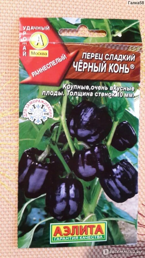 Перец черного цвета сорта. Перец черного цвета сорта