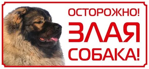 Осторожен 3