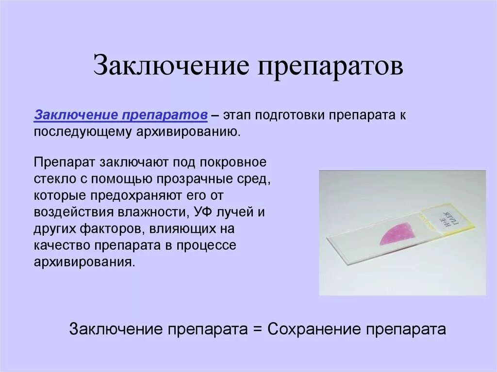 Для чего нужны предметные и покровные стекла