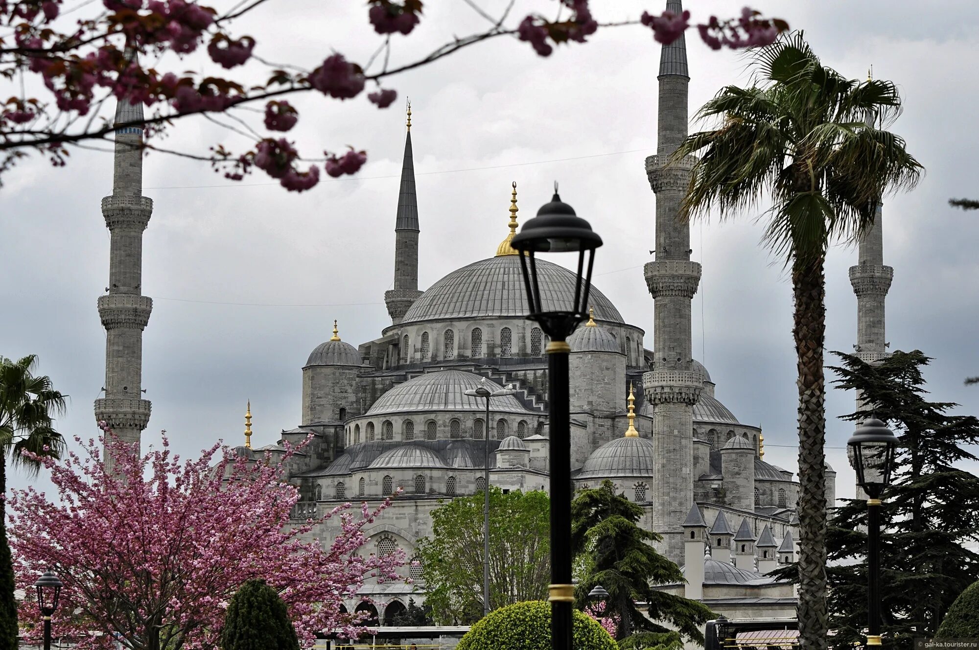 Султанахмет отзывы. Каппадокия мечеть. Стамбул Турция весной. Стамбул джевизлибагъ.