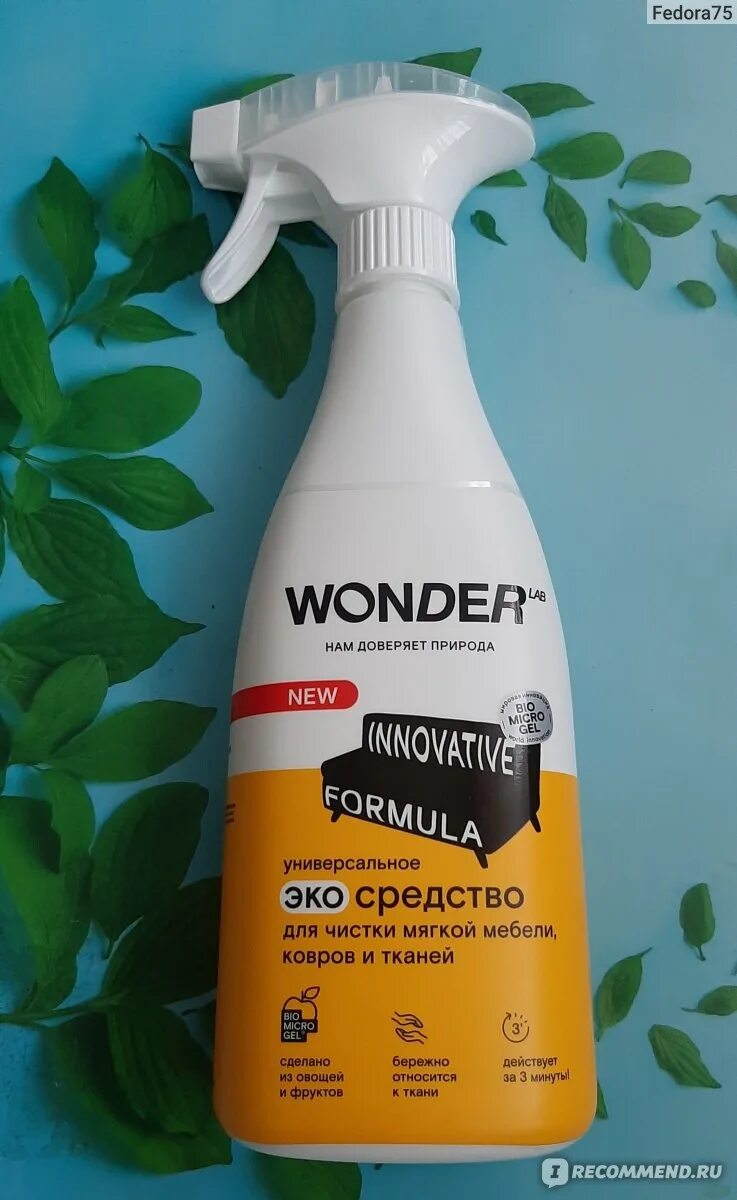 Чистящие средства wonder lab. Универсальные бытовые чистящие средства для чистки монет.