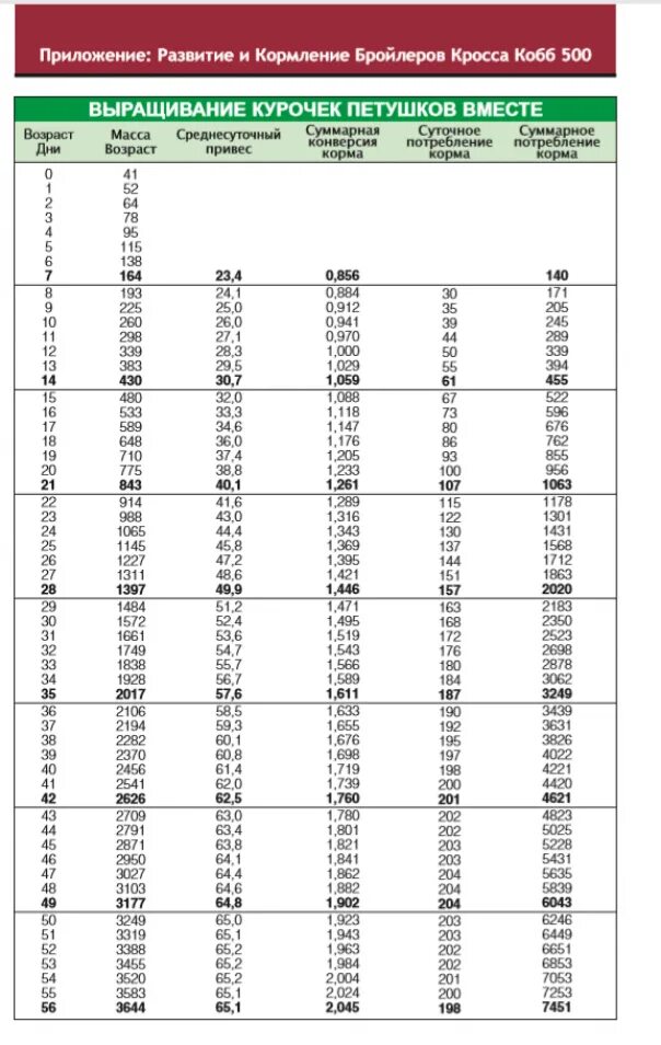 Таблица роста бройлеров Кобб 500 по дням. Таблица веса бройлеров Кобб 500. Вес бройлеров по дням Кобб 500. Вес бройлера Кобб 500 по дням таблица.