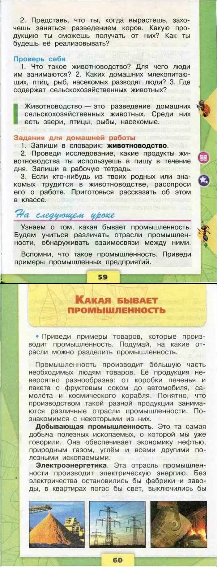 Окружающий мир 3 класс 146-147. Окружающий мир плешаков 3 класс стр147-149. Окружающий мир 3 класс плешаков. Окружающий мир 2 класс учебник. Окружающий мир 3 класс плешаков.