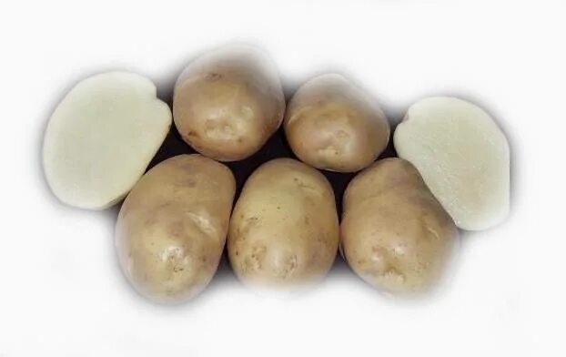 Картофель семенной ирбитский. Сорт горняк картофель. Сорт горняк картофель. Картофель семенной ажур. Сорт картофеля горняк характеристика.