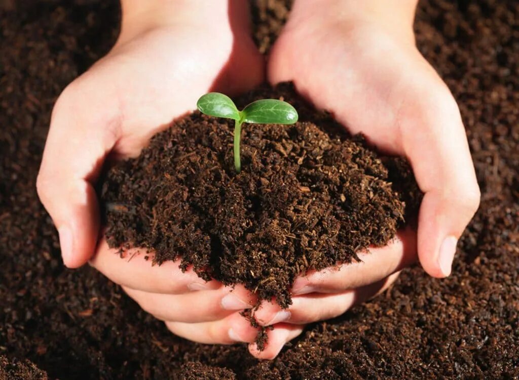 Удобрение органическое. Грунт для растений. Земля для растений. Почвы.