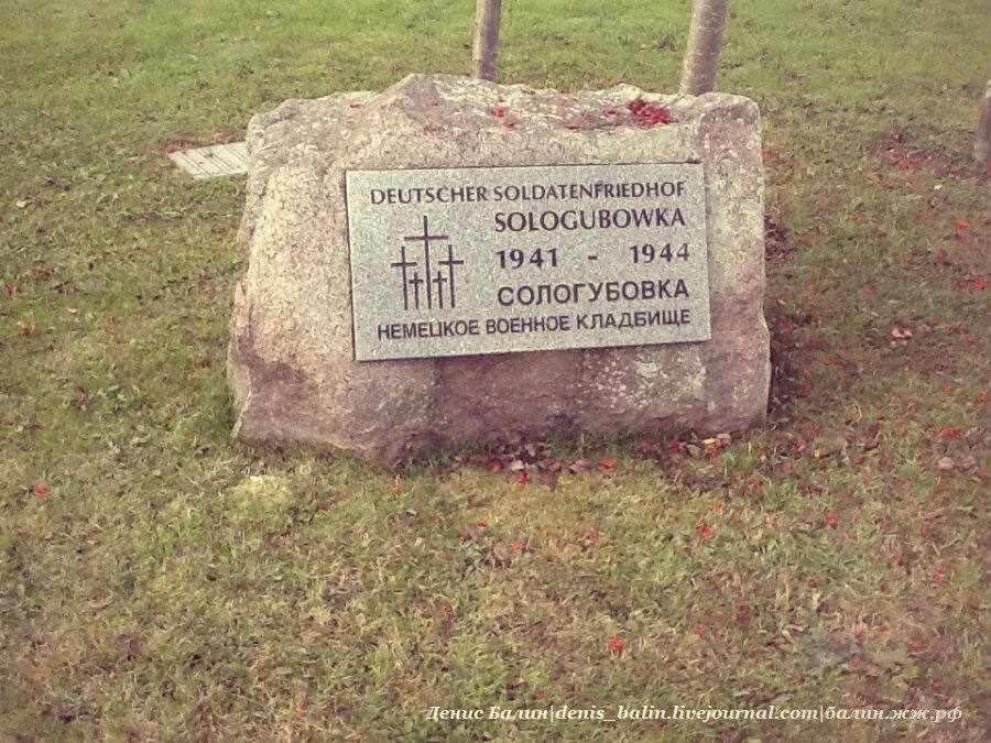 сологубовка ленинградская область на карте