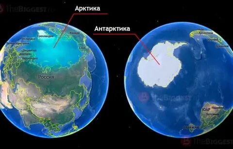 арктика и антарктика в чем разница