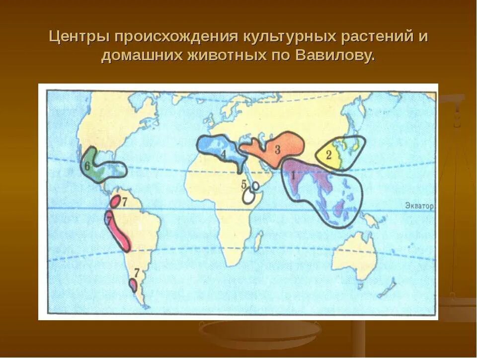 Центры происхождения одомашненных животных. Центры происхождения домашних животных. Центры одомашнивания животных и происхождения культурных растений. Центр происхождения и многообразия культурных растений н и вавилова. Центры происхождения животных по н.