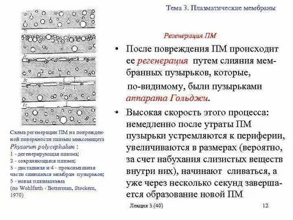 Зачем мембрана