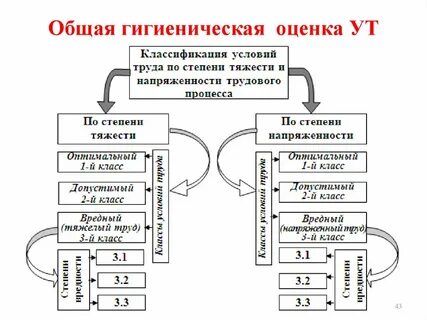 Трудовая деятельность вторая степень второй группы