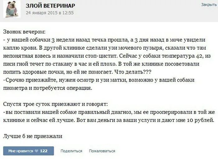 Анекдоты про ветеринарную клинику. Анекдот про ветврача. Ветеринар прикол. Анекдоты ветеринара