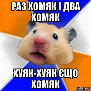 Раз хомяк два хомяк