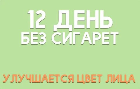 12 дней без