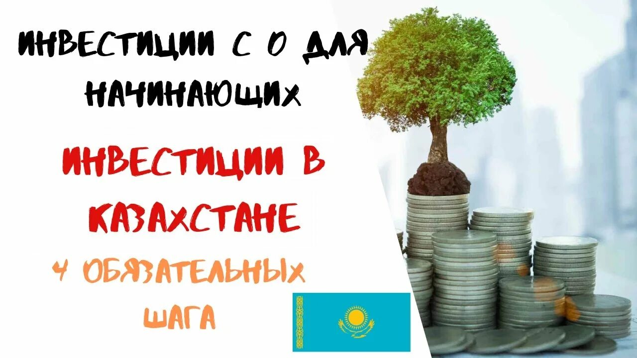 Куда инвестировать начинающему. Инвестиции для начинающих. Инвестирование в акции для начинающих. Основы инвестирования для начинающих. Как начать инвестировать с нуля.