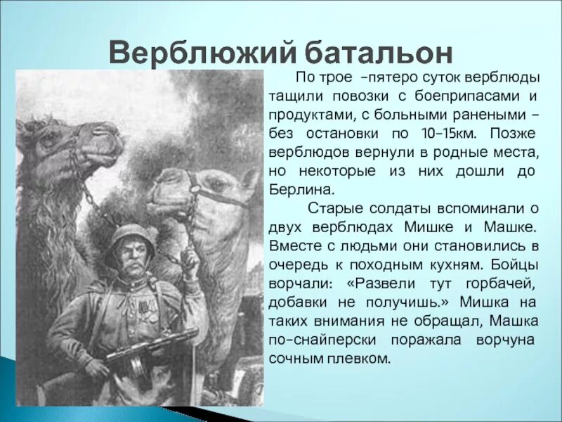 Верблюды герои Великой Отечественной войны. Животные герои Великой Отечественной войны верблюд. Верблюды в годы Великой Отечественной войны. Верблюды в Великую отечественную Яшка. Какое значение имеет вов