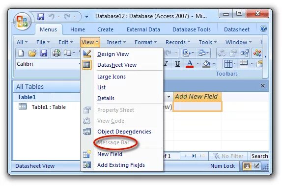 Где меню формат. Меню access. формат в access. &quot;microsoft access меню&quot;. word access 2007.