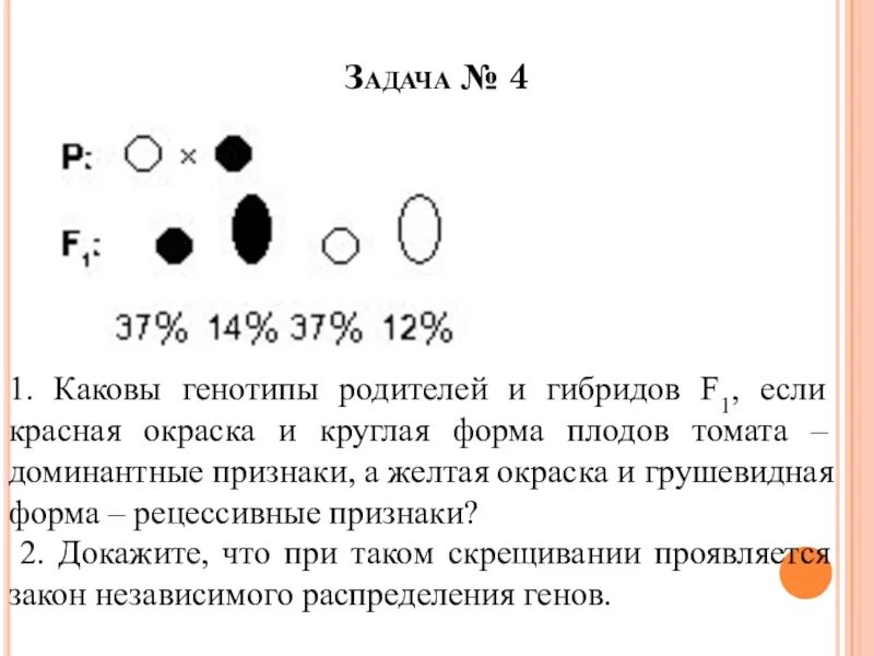 Каковы генотипы родителей и гибридов первого поколения. Каковы генотипы. Круглая форма плода томата доминирует. Каковы генотипы родителей. Генотипы родителей помидоры круглая форма.