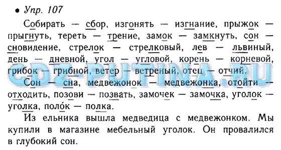 Русский язык пятый класс номер 107. Родной русский язык 5 класс стр 107 упражнение. Русский язык 5 класс номер 107. Родной язык учебник упражнение 107 5 класс.