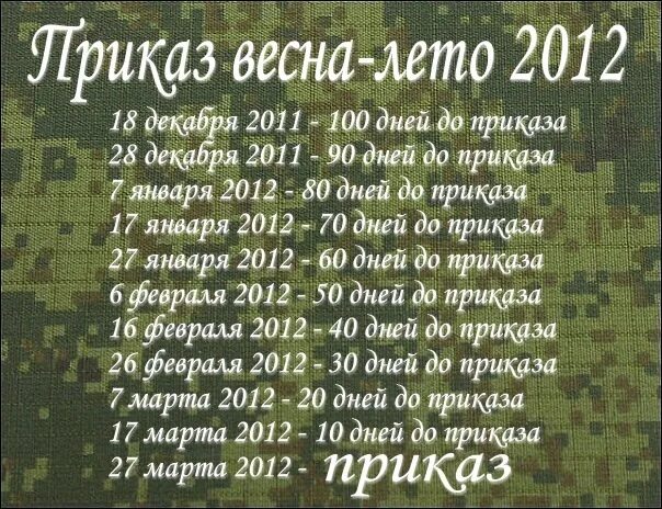 Дмб сколько дней осталось. ДМБ календарь. Календарь армия. Календарь солдат. Календарь жду солдата.