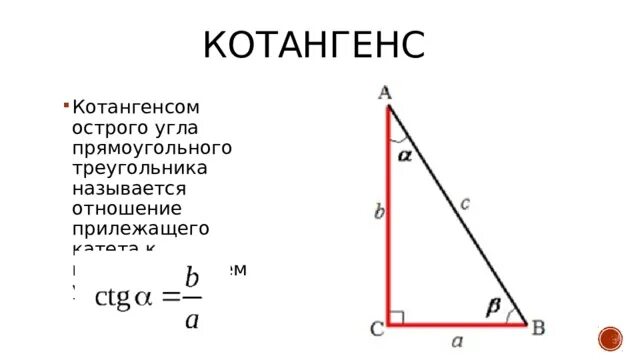 Котангенс угла c. Котангенс острого угла прямоугольного треугольника. Котангенс угла в прямоугольном треугольнике. Котангенс котангенс острого угла прямоугольного треугольника. Определение котангенса острого угла прямоугольного треугольника.