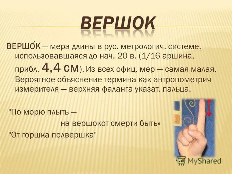 12 вершков роста это сколько в сантиметрах