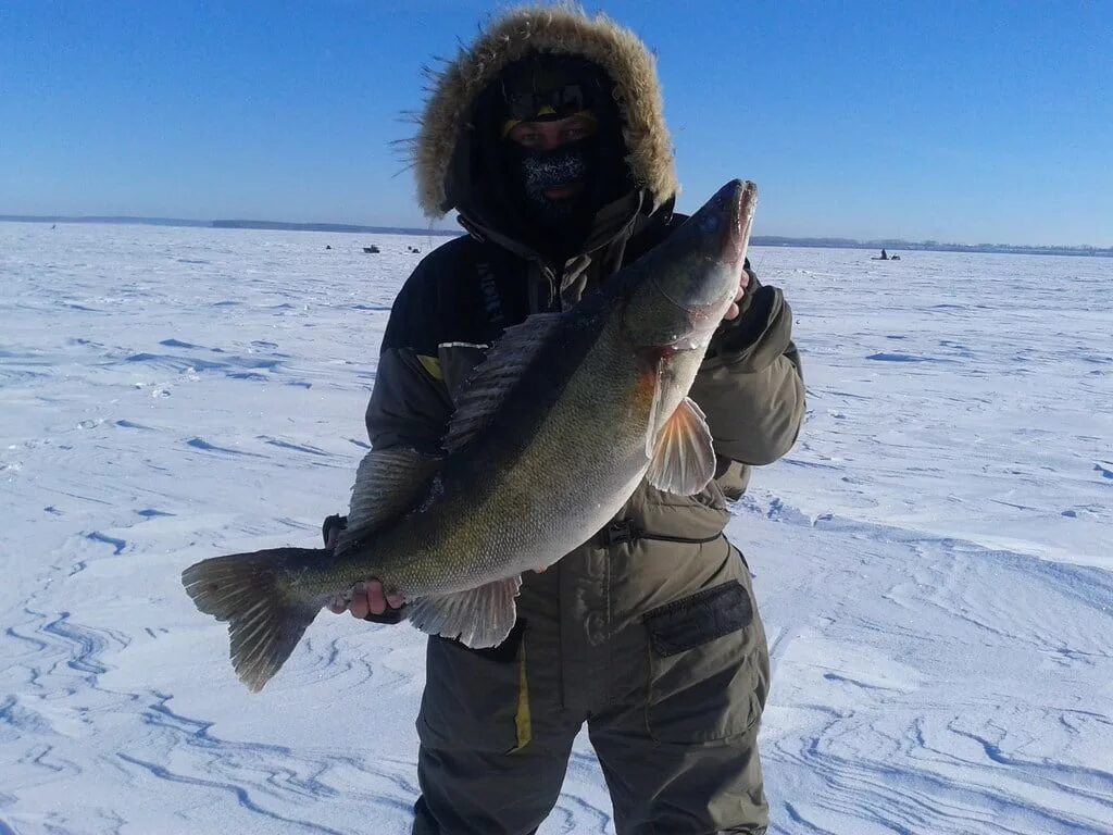 Рыбалка на цимле. Сальскфишер. Сальскфишер. Рыбалка веселовское водохранилище ростовской области. Фион 55 форум омская область.