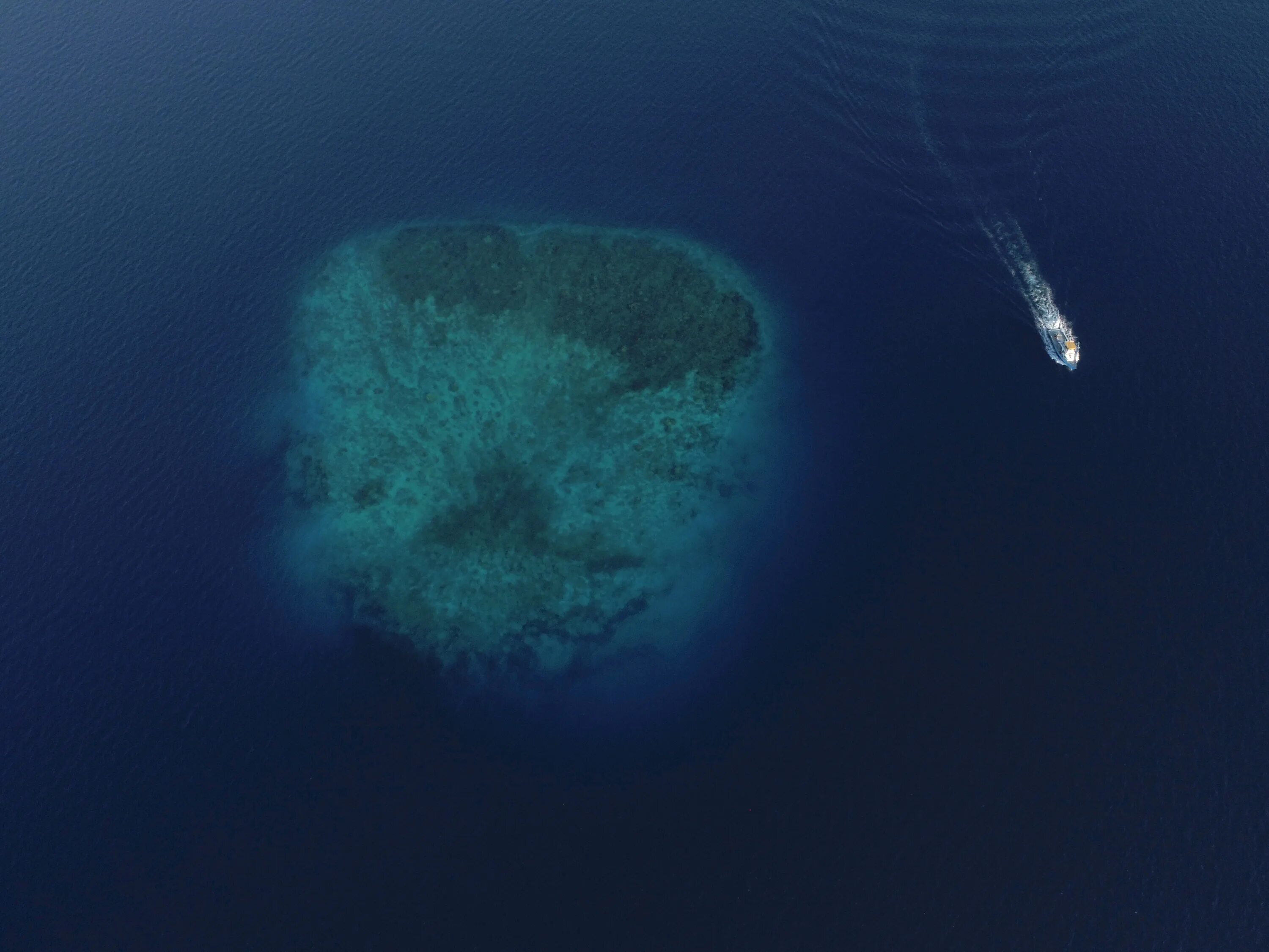 Остров под водой. Остров вид под водой. Дно Бермудского треугольника. Мальдивы под водой. Остров воды монстры