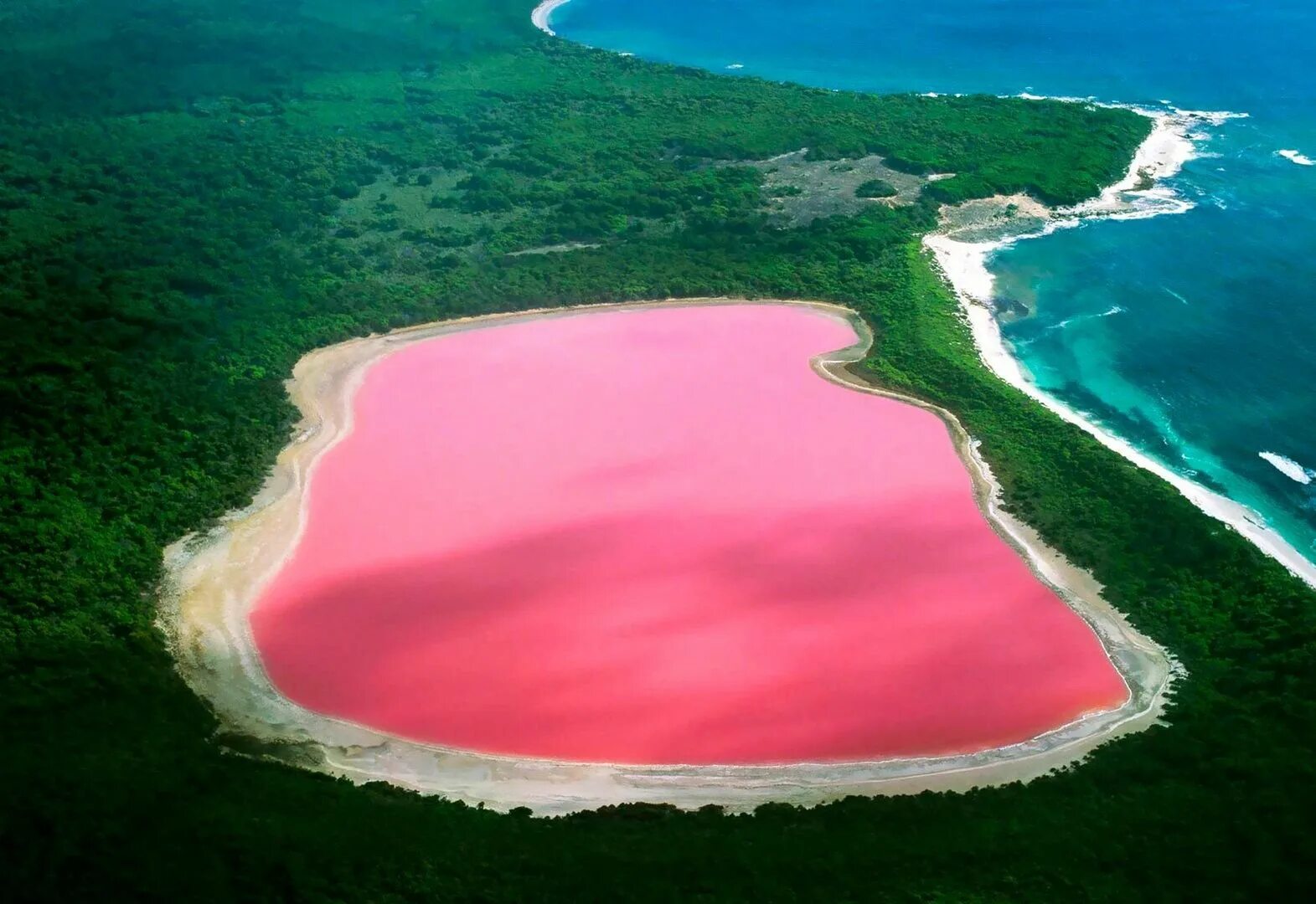 Самая теплая река в мире. Розовое озеро Хиллер Австралия. Озеро Хиллер (hillier), Австралия. Озеро Ретба Сенегал. Озеро Хиллер (остров Миддл).