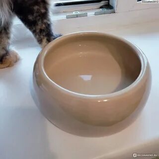 Какие миски лучше
