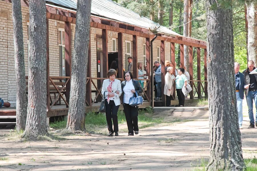 Медбаза. Васкелово база отдыха первого меда. Турбаза Васкелово 1 мед. База 1 меда в Васкелово. База ПСПБГМУ В Васкелово.