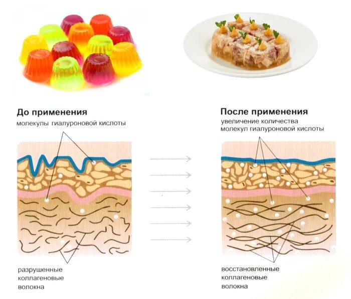 Коллаген в каких костях. Коллагеновые продукты питания. Коллаген в еде. Эластин в продуктах. Продукты с коллагеном для кожи.