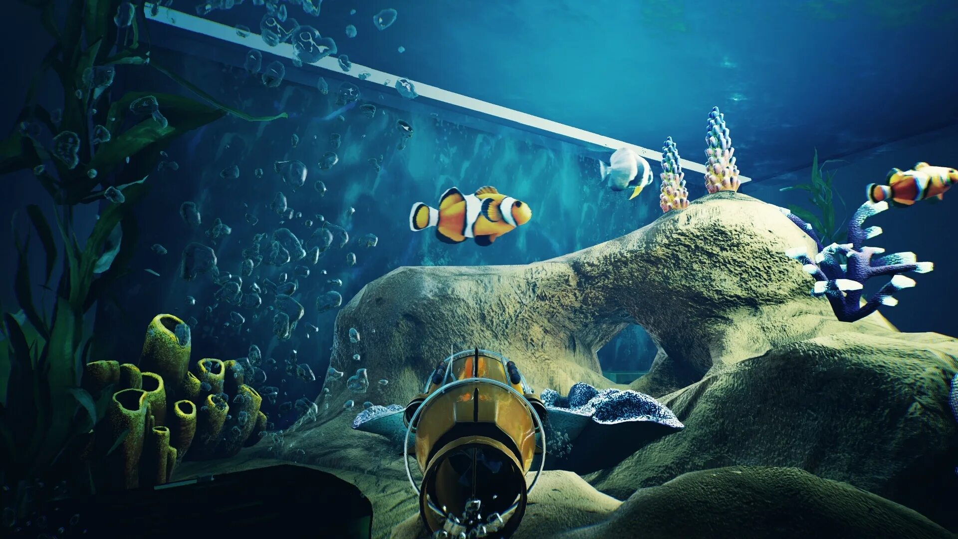 Поиграем в игру аквариум. Игры про океанариум на пк. aquaria игра. игра аквариум. симулятор океанариума.