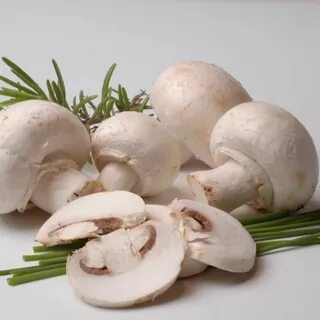 Грибы шампиньоны картинка