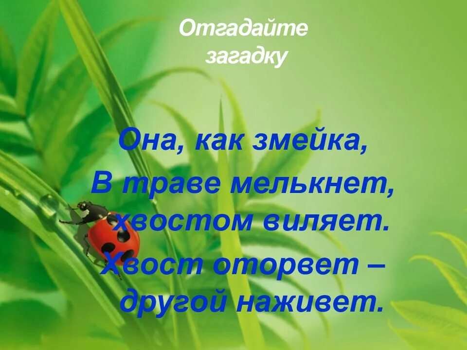 Бианки конспект урока 1 класс школа россии