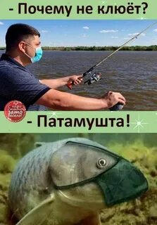 Рыба хорошо бравшая приманку перестала клевать