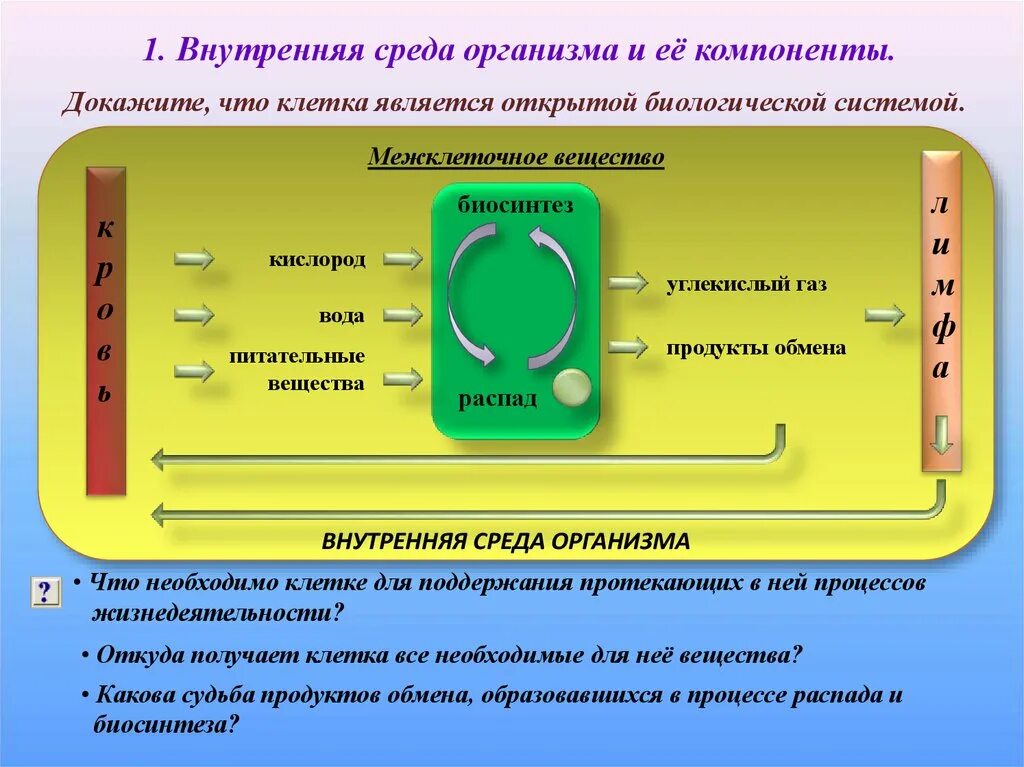 Определите какие компоненты составляют внутреннюю среду организма. Внутренняя среда организма. внутренняя среда организма и ее компоненты. составляющие внутренней среды организма. взаимосвязь компонентов внутренней среды организма.