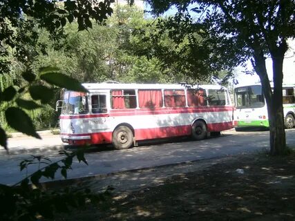 58 автобус волгоград