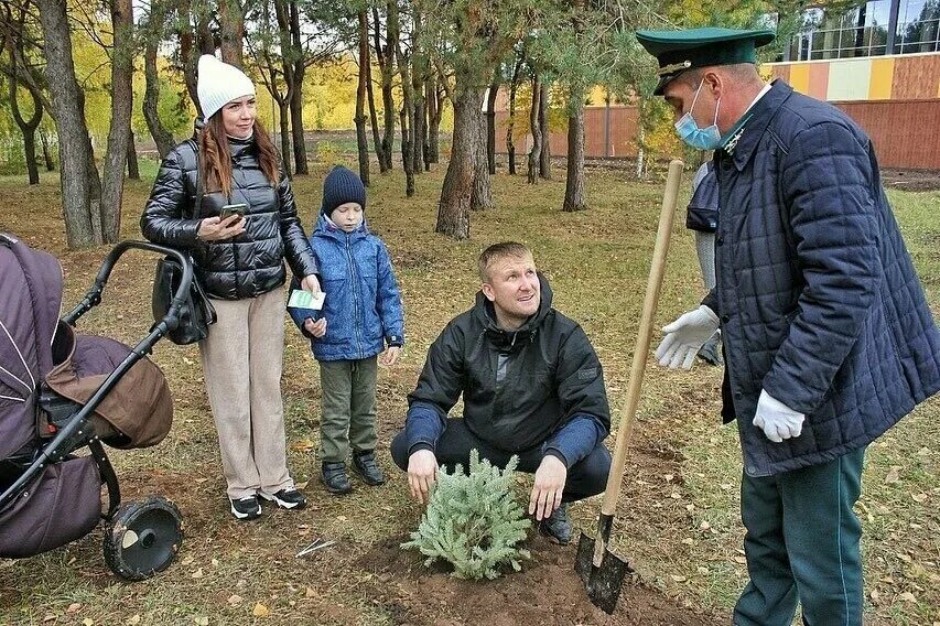 Посадили 150 деревьев