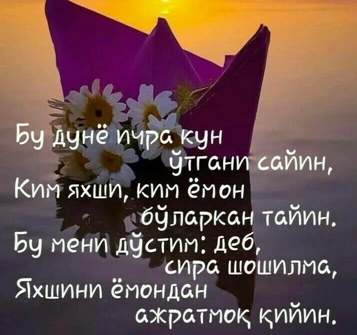Умр утмокда. Умр утмокда шерлар. умр шер. умр утмокда картинки.