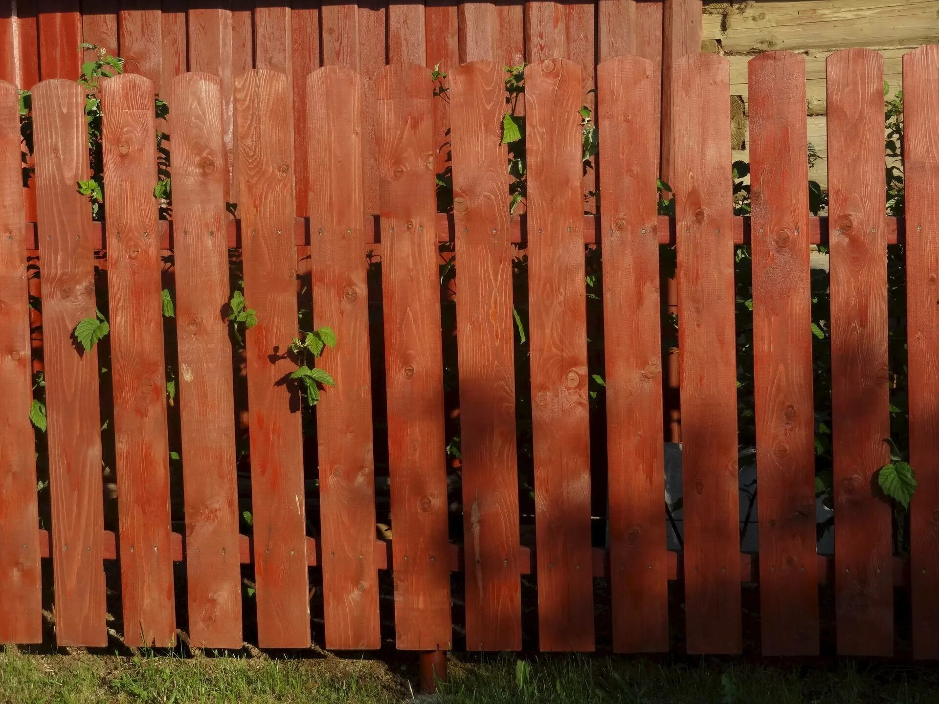 Деревянный забор. Красивый забор из досок. Забор из заборной доски. Деревянный забор для дачи из досок. Сколько стоит метр деревянного забора
