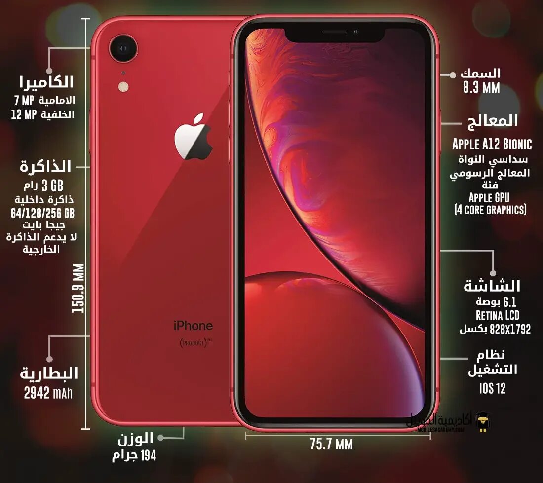 Apple XR размер. Размер айфон 10 XR. XR Apple габариты. Iphone XR параметры. Размер apple iphone