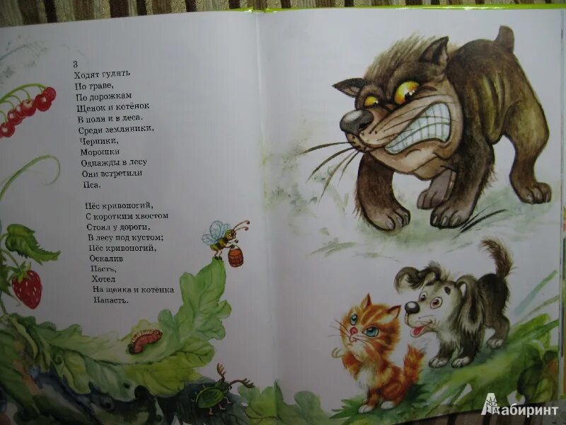 Песенка про котенка и щенка. Введенский щенок и котенок иллюстрации. Введенский стихи щенки. Мохнатенькая усатенькая лапки мягоньки а коготки востры