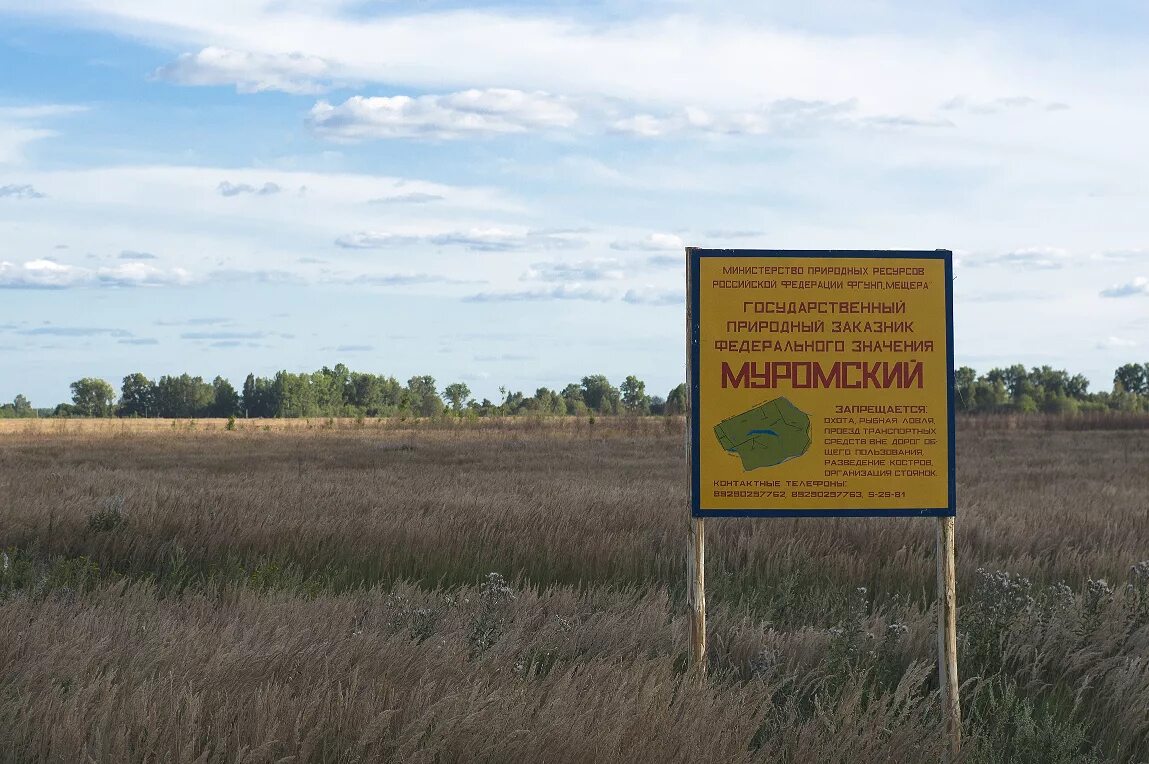 Заповедник во владимирской области. Государственный заказник Муромский. Муромский заказник Владимирской области. Заповедники Владимирской области Муромский заповедник. Гос заказник Муромский Владимирская область.